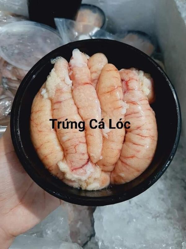 Trứng Cá Lóc