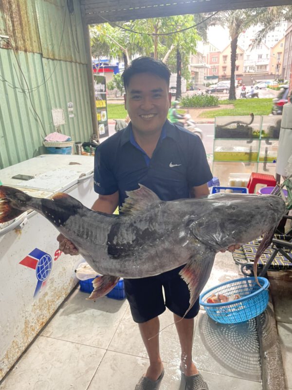 Cá Chiên Sông Đà