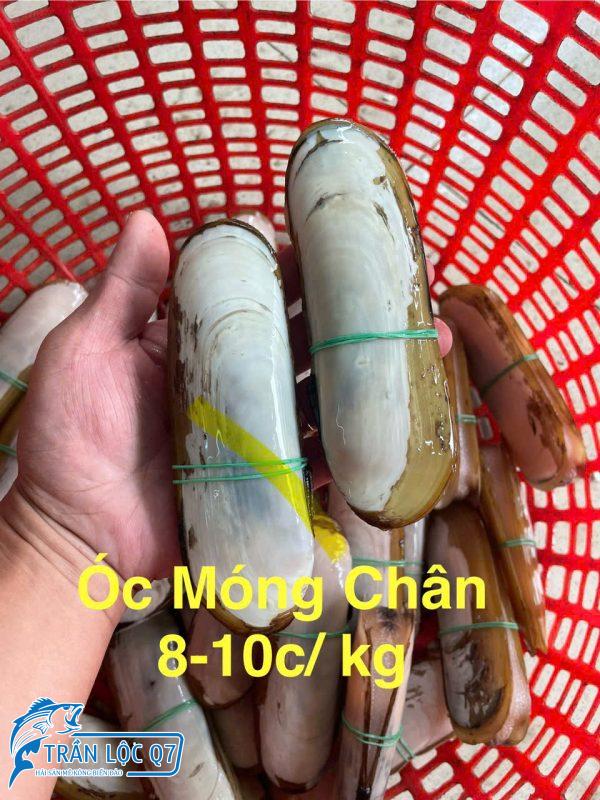 ỐC MÓNG CHÂN 8-10