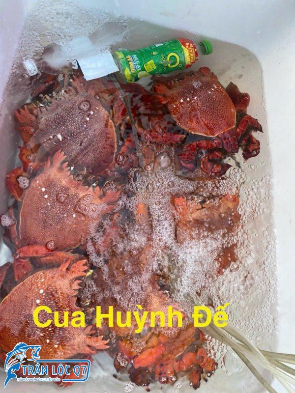 CUA HUỲNH ĐẾ