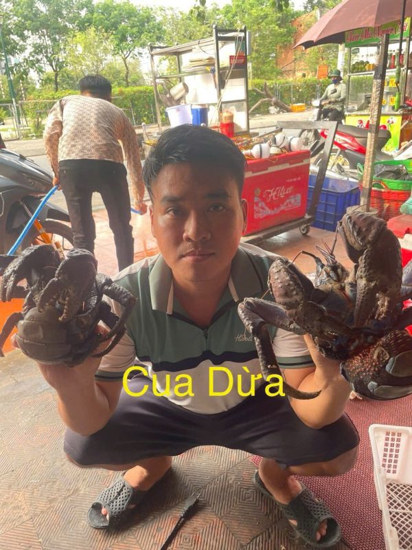 CUA DỪA NHẬP KHẨU 1-2KG/CON